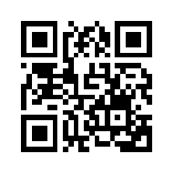 Schadensbericht Online